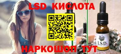 spice Заволжье