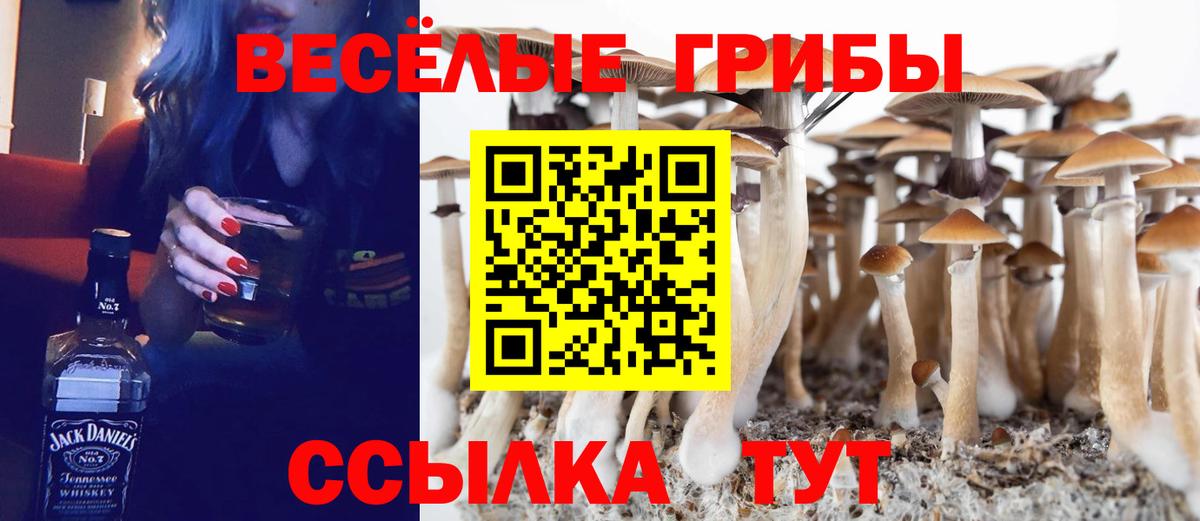 Кушва  Галлюциногенные грибы GOLDEN TEACHER  Вход с VPN  Галлюциногенные грибы мухоморы 