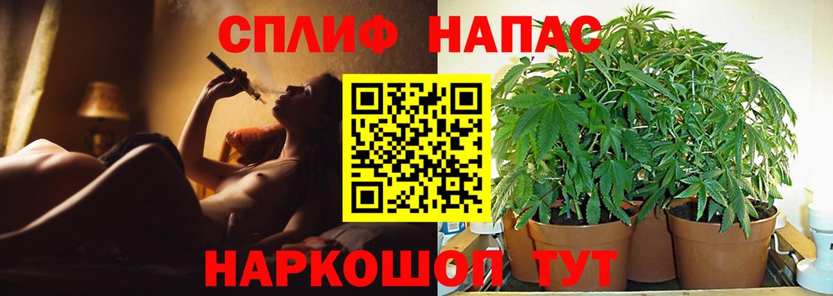 Шишки марихуана сатива Кушва